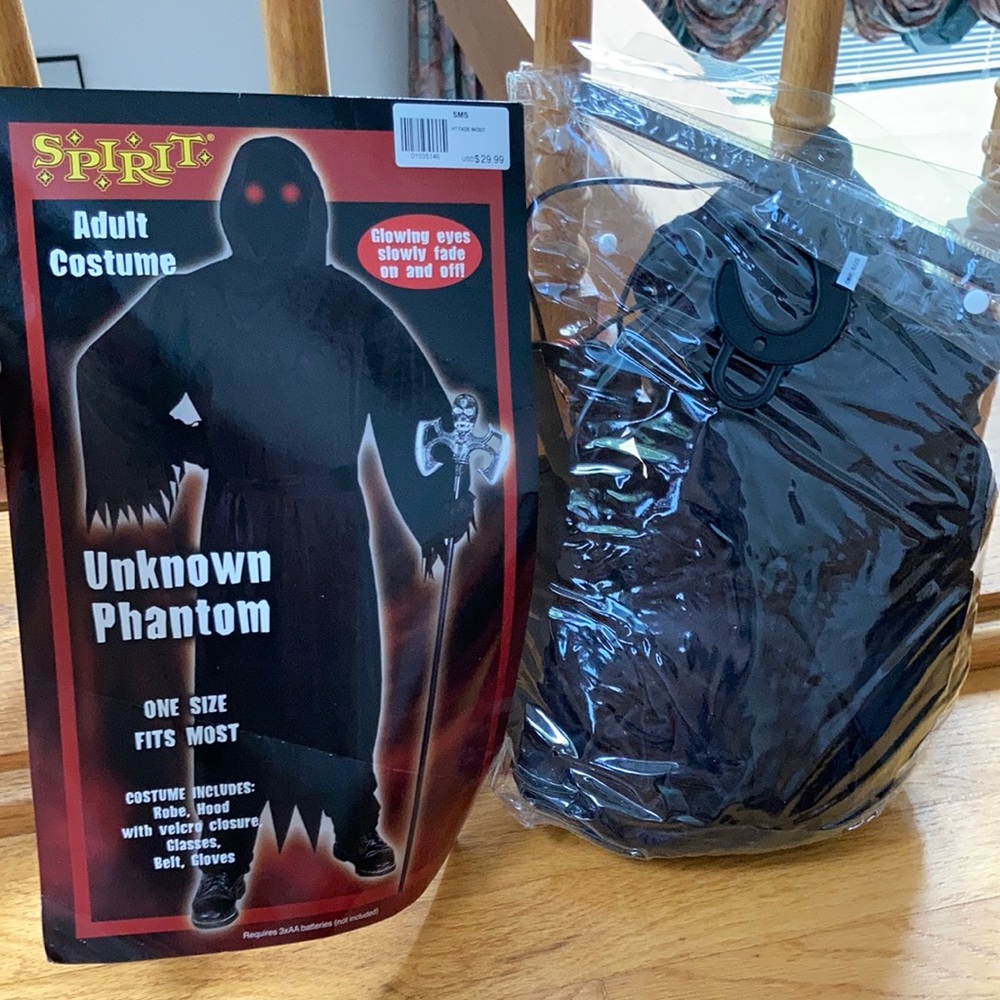 Halloween costume